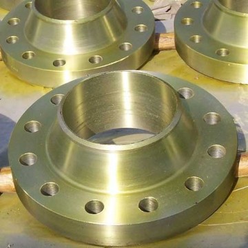 304L NOZZLE FLANGE