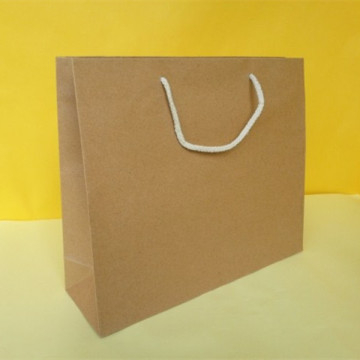 Recyclable Retail Paper Gift/Shopping Bags