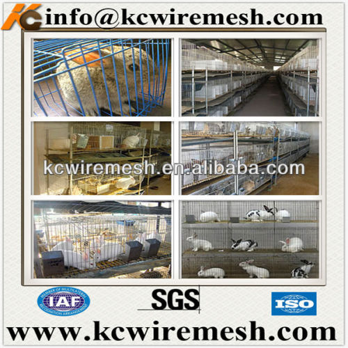 Metal wire battery cages for rabbit cages.