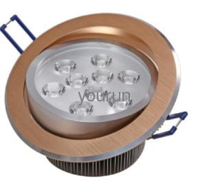 Warn white 9W LED Down Light