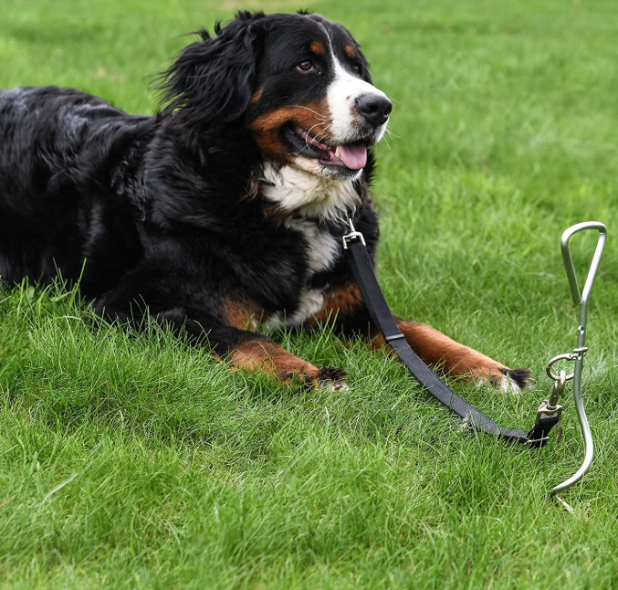 Ancla de tierra de estaca de perro Dog Stake Ground Anchor