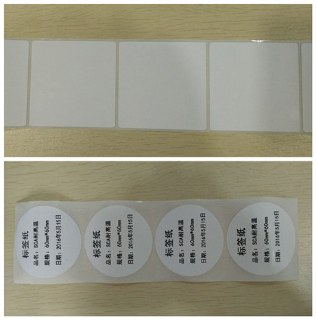 Non Tearable PP Synthetic Paper