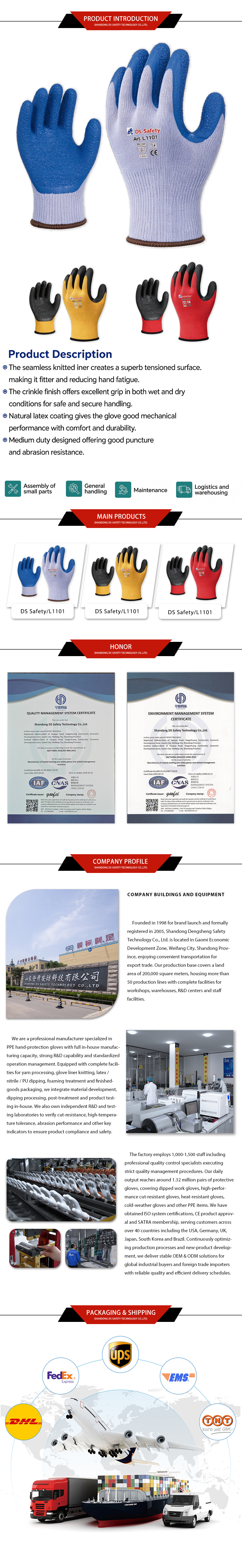 DS Seguridad-L1101-x DS Safety-L1101-x