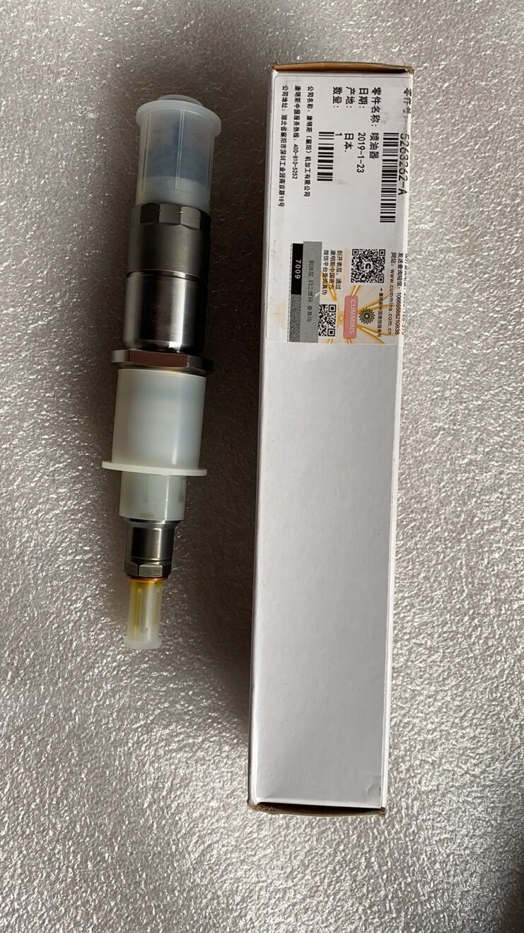 Denso Injector DZ100216 095000-6500