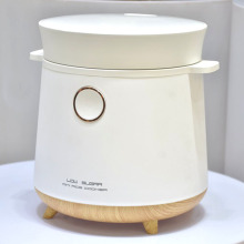 220V Mini Cooker De Sugar Low Carbo Rice Cooker