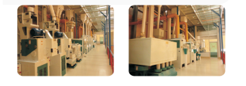 Large-scale Full-unit Rice Mill Projects