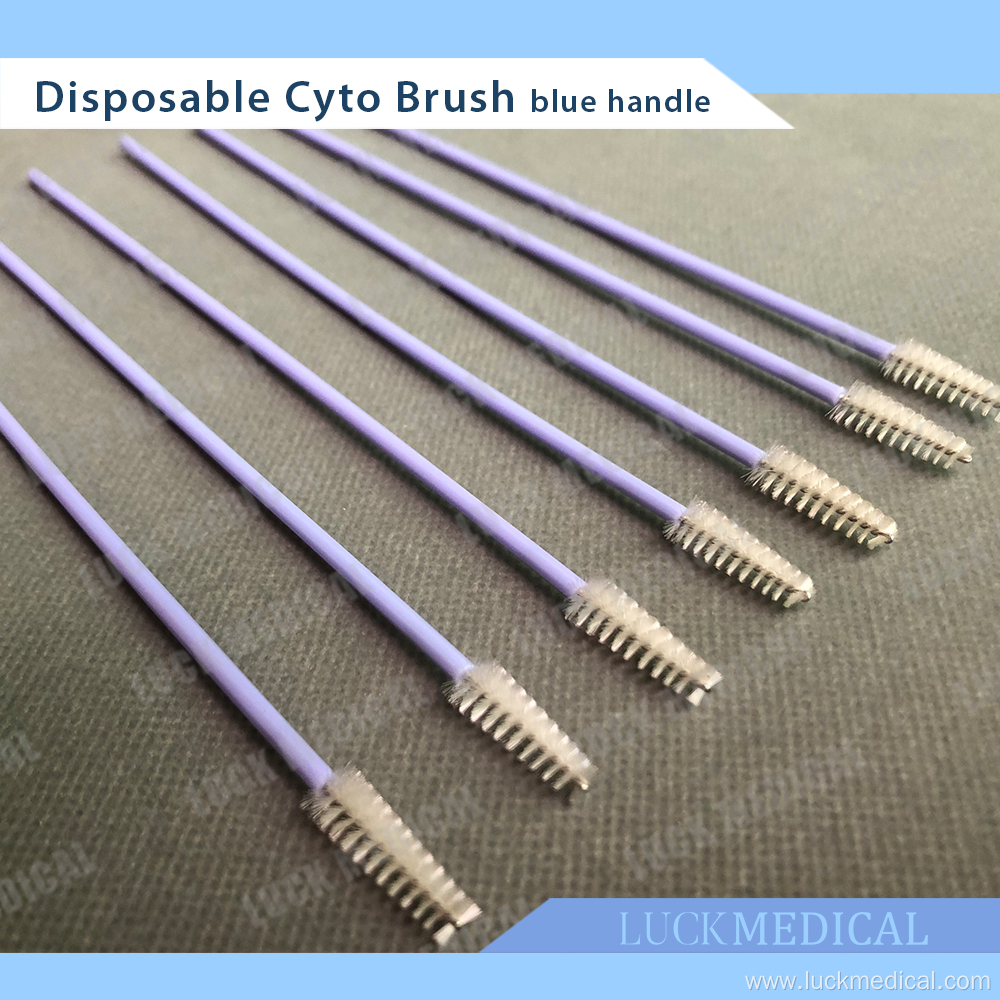 Cervical Collection Brush Cytology Brush