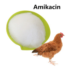 CAS 39831-55-5 active ingredients Amikacin powder