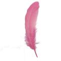 Macaron Feather Can a Make Decration