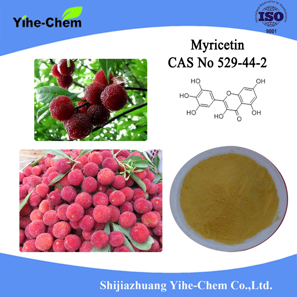 Miricetina2 Myricetin2
