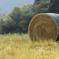 Plastic Hay Bale Wrap Netting