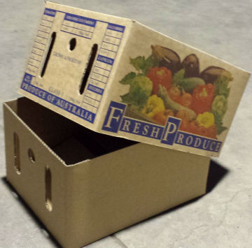 custom printed fruit paper packaging box