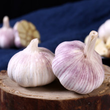Purple skinned garlic used for pickling garlic