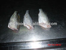 frozen seabass/chilean seabass fish fillet