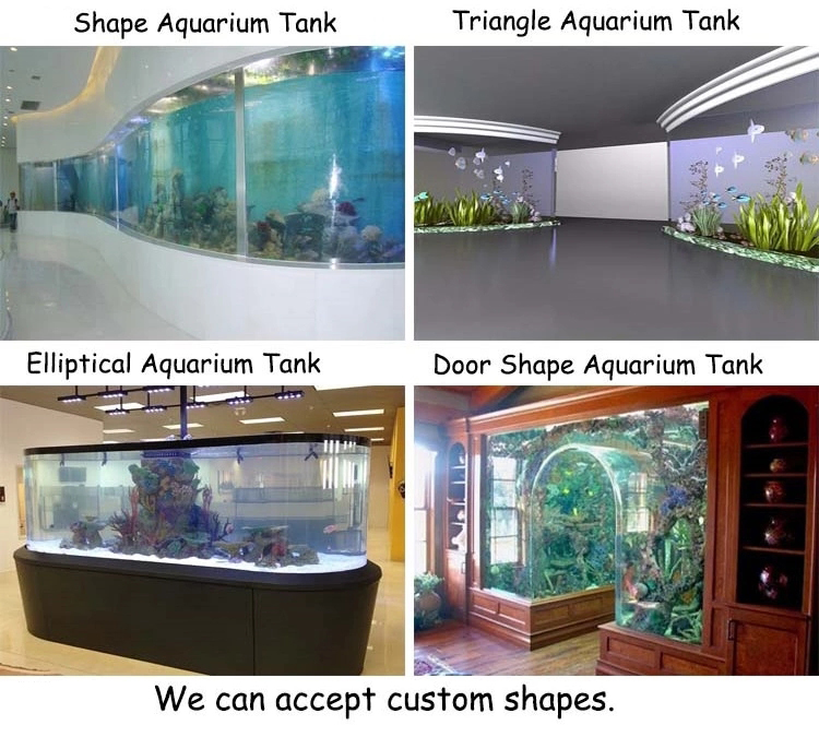 Acrylic aquarium tank 