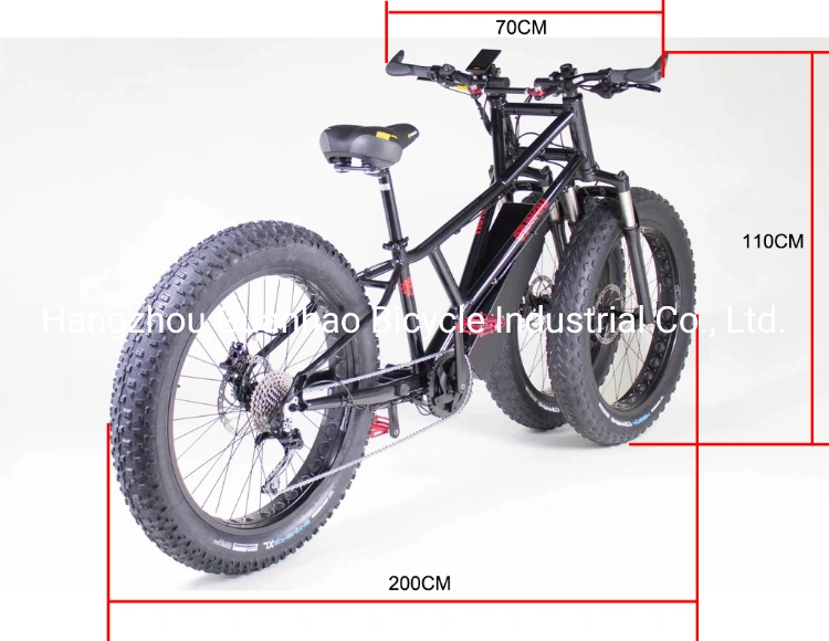 Electric Juggernaut Mdv Series 1000W Middle Motor 60V 17ah OEM/ODM Fat Tire Three Wheels Electric Bike