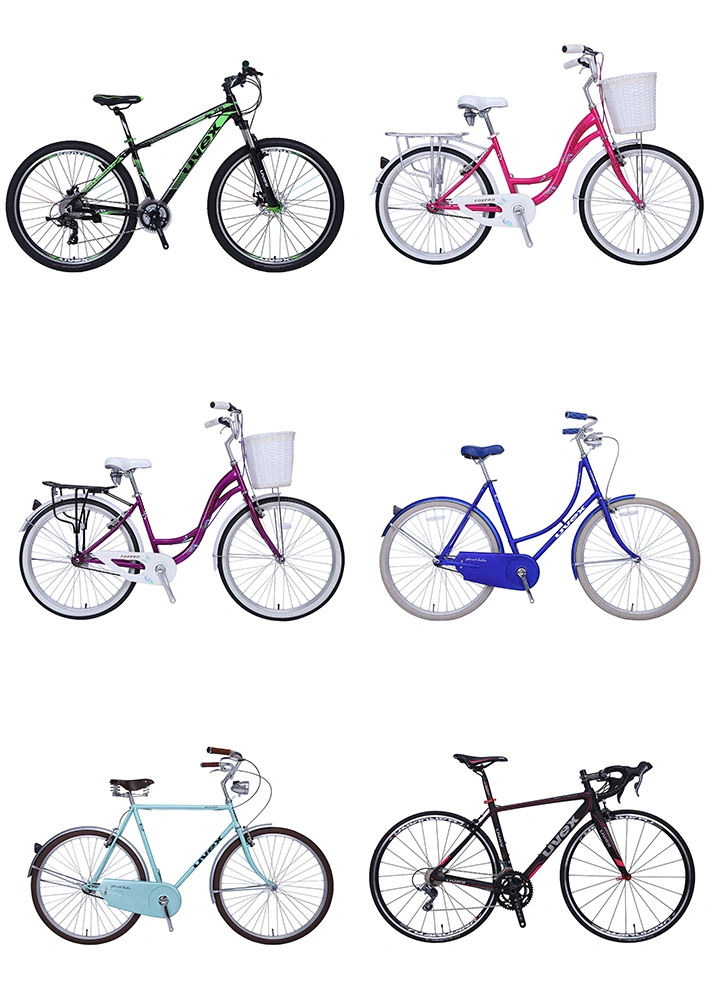 2019 Steel Single 21 Speed Standard Mountain Bike/Bicycle