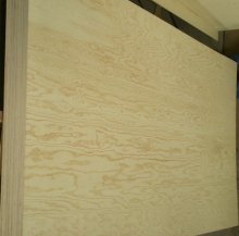 Radiata pine face veneer hardwood core commercial plywood