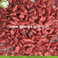 Factory Supply Fruit Nutrition sexuelle Stärke Goji Beeren