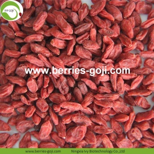 Nhà máy cung cấp trái cây dinh dưỡng Sức mạnh tình dục Goji Berries