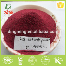 new crop free of additives dried red beet root powder