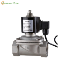 Two Position Two-Way Underwater Stainless Steel Steam Solenoid Valve