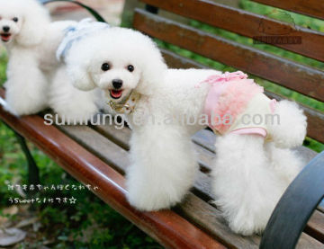 Dog Sanitary Pants, Lace Dog Physiological Pants 1/3