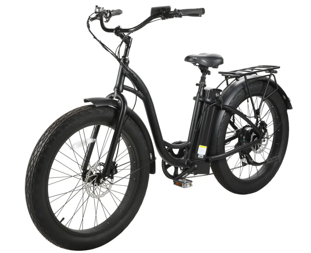 New 48V500W Electric City Bicycle Big Tire ODM Service