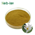 Natural Plant Extract Lily Bulb Extract with Polysaccharide
