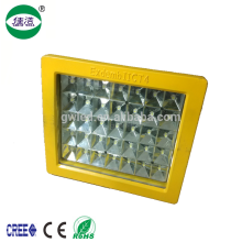 50w 6500K AC100-240V explosion-proof led spot light