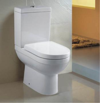 Cose Coupled Suite Toilet Two Pieces Toilet water