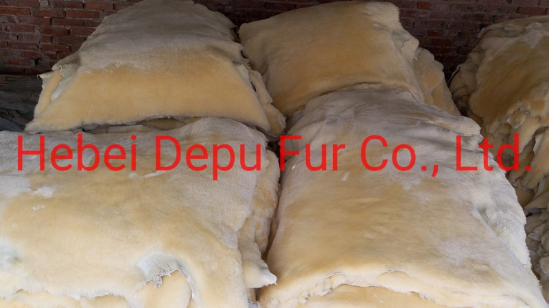 Real Merino Sheepskin Horse Saddle Pad in Factory Price