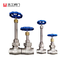 Extended Stem LNG Cryogenical Globe Valve Stainless Steel