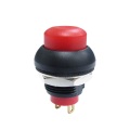 IP68 Waterproof Illuminated Momentary Push Button Switch