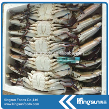 Hot sell Frozen Crab Whole Round/Cut Crab