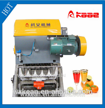 Hot sale natural fruit juice concentrate production line