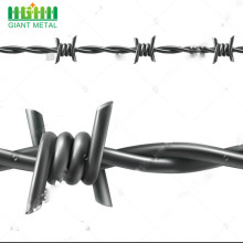 Galvanized barbed wire