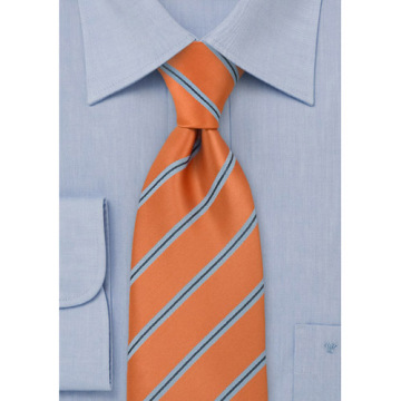 100% Striped Silk Neck Ties