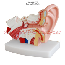 Desktop Ear Model-J3C3.19.303D