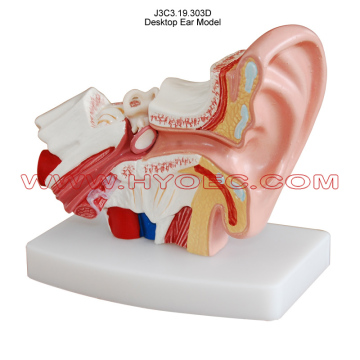 Desktop Ear Model-J3C3.19.303D
