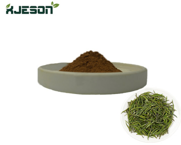 Green Tea Extract EGCG