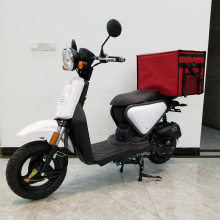 Fast Food Delivery Scooter With Bike Delivery Bag