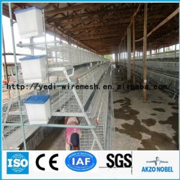 Chicken Cages for layers/chicken laying cage/chicken layer cage