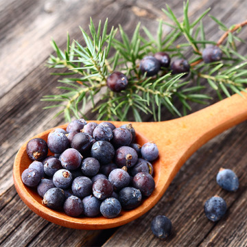 En gros en vrac personnaliser l&#39;huile essentielle de genévrier naturel pur