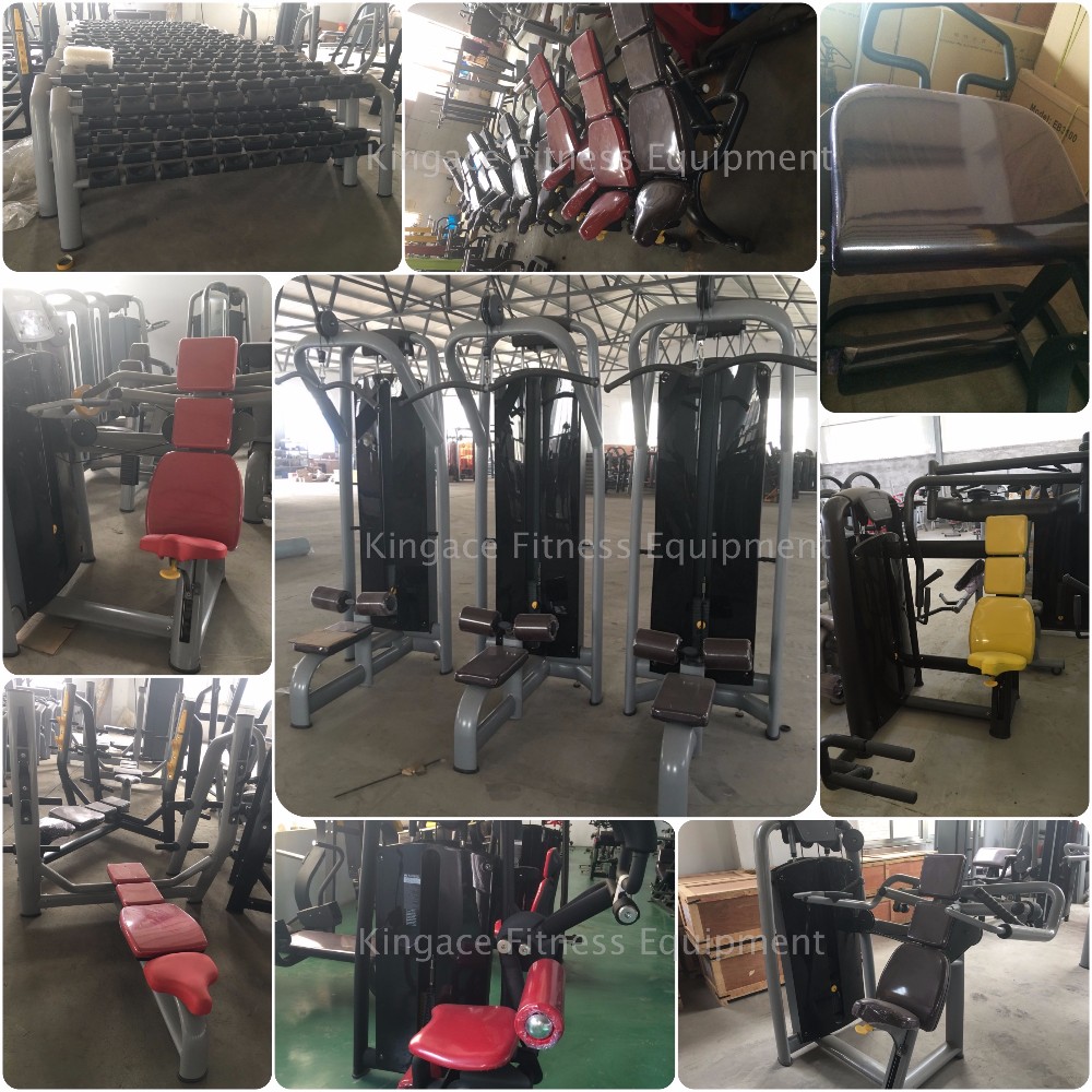 Hot Sale Fitness Equipment Roman Chair with CE for Gym Building