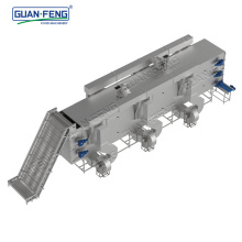 High Performance Raisin Carrot Dehydration Processing Belt Dryer