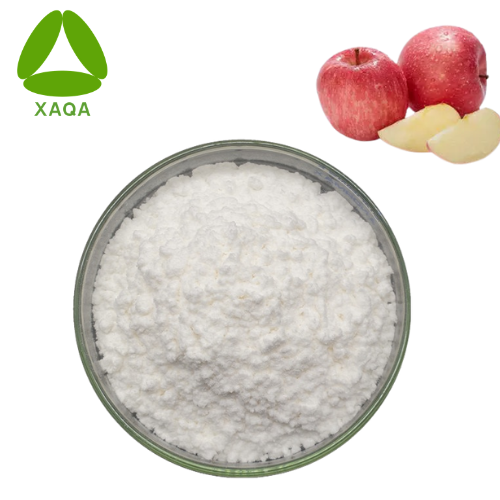 Apple Bark Extract Phloridzin Powder Skin Whitening Material