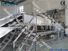 Fruit washing and sorting platform