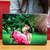 Personalized Laptop Decal Sticker with Professional Skin Design Software