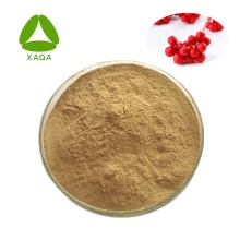 Schisandra Extract 2% Schisandrin Powder Protect Liver